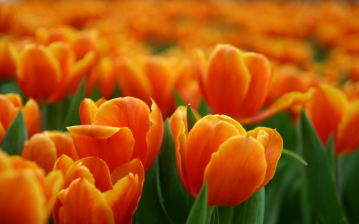 488967 (a): :2560x1600